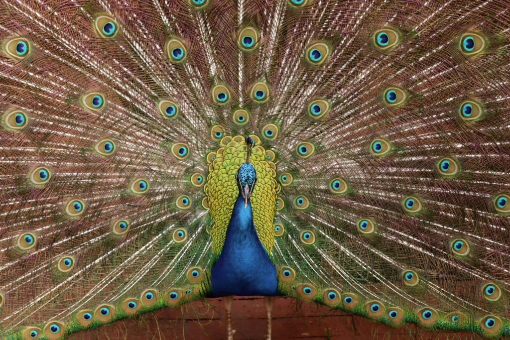 Hello World Featured Image